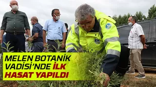 Melen Botanik Vadisi’nde ilk hasat yapıldı