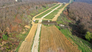 Melen Botanik Vadisinde kuşburnular toprakla buluştu