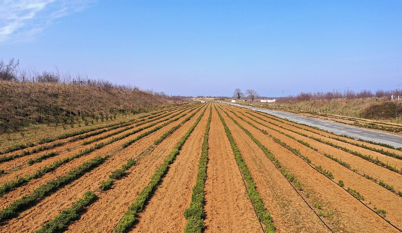 Melen Botanik Vadisi’ne yürüyüş yolu yapılacak