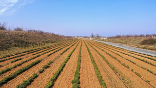 Melen Botanik Vadisi’ne yürüyüş yolu yapılacak