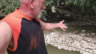 Melen'de toplu balık ölümü