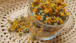 Menopozun yan etkilerine veda: Çuha çiçeği ve faydaları