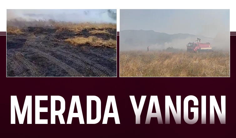 Meradaki yangını itfaiye söndürdü