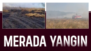 Meradaki yangını itfaiye söndürdü