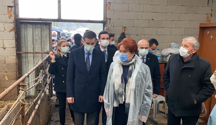 Meral Akşener Sakarya'da çiftçinin sorunlarını dinledi