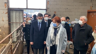 Meral Akşener Sakarya'da çiftçinin sorunlarını dinledi