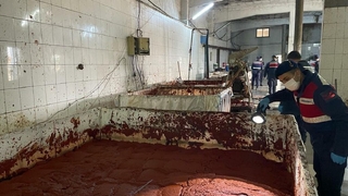 Merdiven altı salça üretimine baskın; 25 ton...
