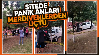 Merdivenlerden aşağı uçan otomobil ağaca çarptı: 2 yaralı