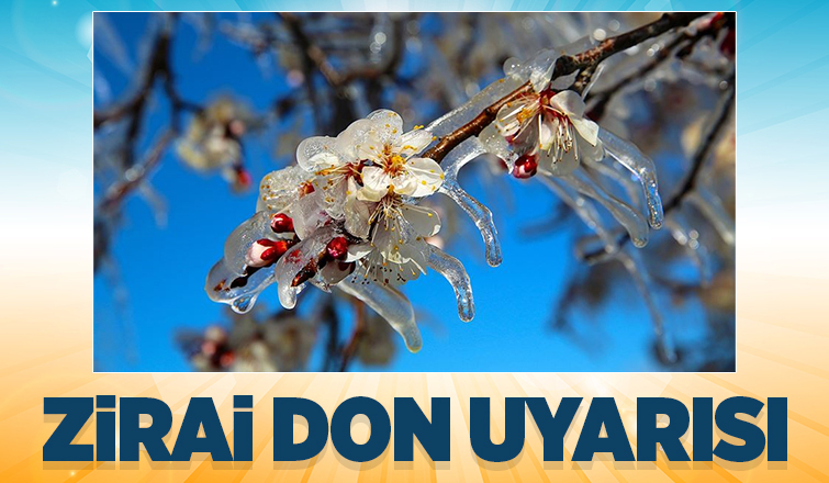 Meteorolojiden zirai don uyarısı