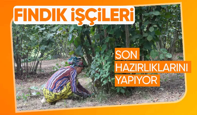 Mevsimlik işçiler fındık mesaisine hazırlanıyor