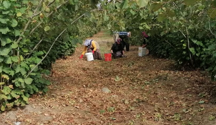 Mevsimlik işçilerle ilgili şimdiden tedbir alınmalı