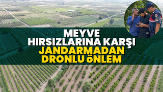 Meyve bahçeleri dron ile korunuyor