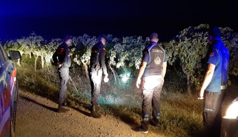 Meyve bahçelerini jandarma ve zabıta koruyor