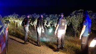 Meyve bahçelerini jandarma ve zabıta koruyor