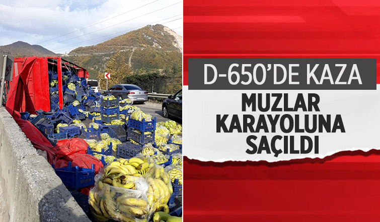 Meyve yüklü kamyon devrildi, tonlarca muz yola savruldu