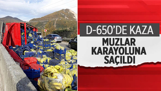 Meyve yüklü kamyon devrildi, tonlarca muz yola savruldu