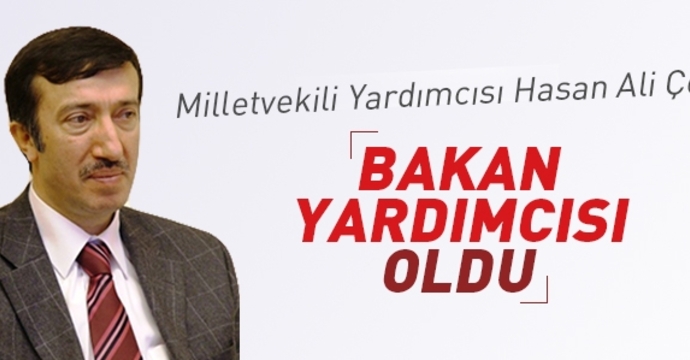 Milletvekili Hasan Ali Çelik Bakan Yardımcısı oldu