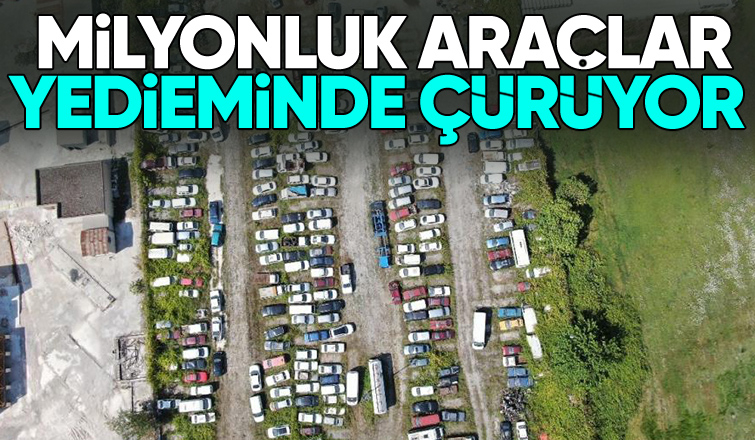 Milyonluk arabalar yedieminde çürüyor