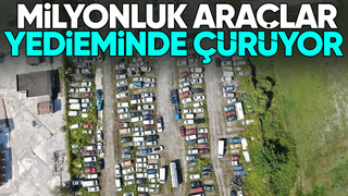 Milyonluk arabalar yedieminde çürüyor