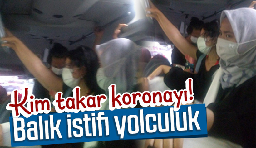 Minibüste korkutan manzara