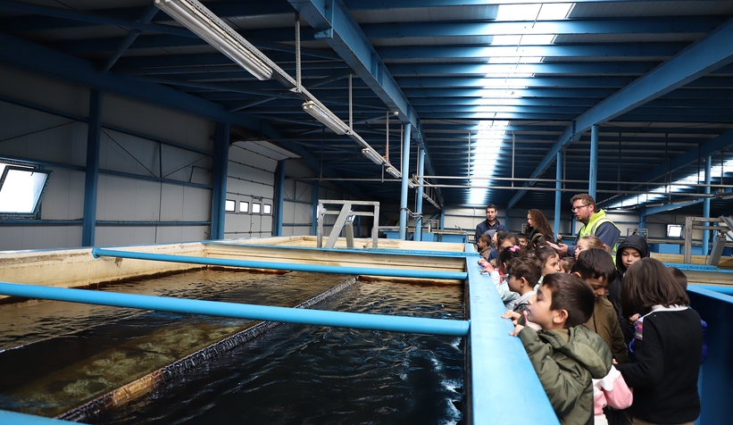 Minik öğrencilere suyun önemi eğitici gezi ile anlatıldı