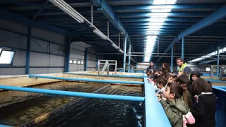 Minik öğrencilere suyun önemi eğitici gezi ile anlatıldı