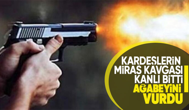 Miras kavgasında ağabeyini vurdu