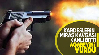 Miras kavgasında ağabeyini vurdu