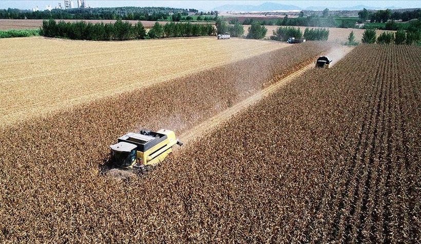 Mısır alım fiyatı belli oldu