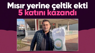 Mısır yerine pirinç ekti 5 kat fazla kazandı
