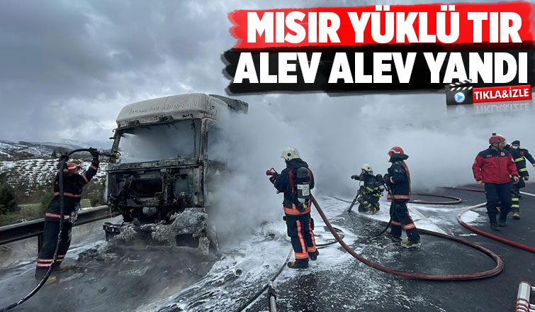 Mısır yüklü Tır alevlere teslim oldu