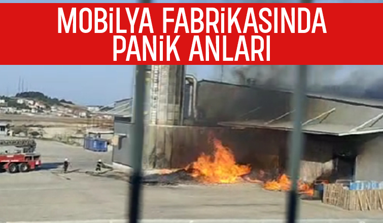 Mobilya fabrikasında yangın çıktı