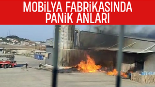 Mobilya fabrikasında yangın çıktı