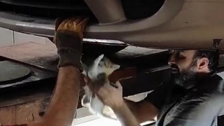 Motora giren yavru kedi sanayide kurtarıldı