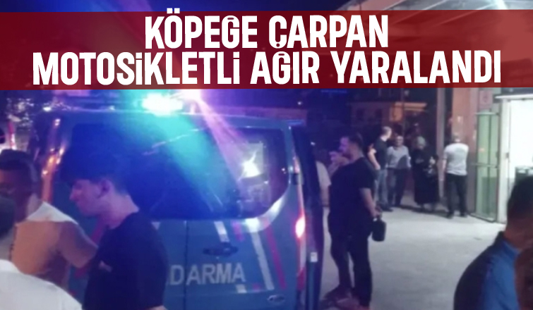 Motosikletli köpeğe çarpıp ağır yaralandı