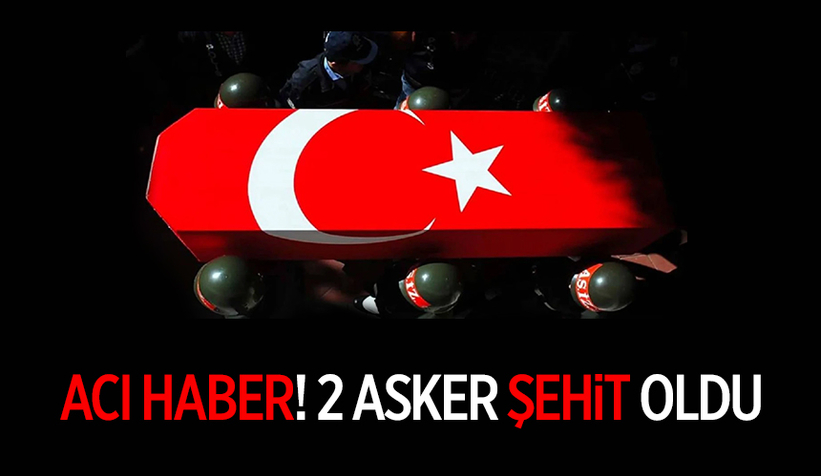 MSB açıkladı: 2 asker şehit