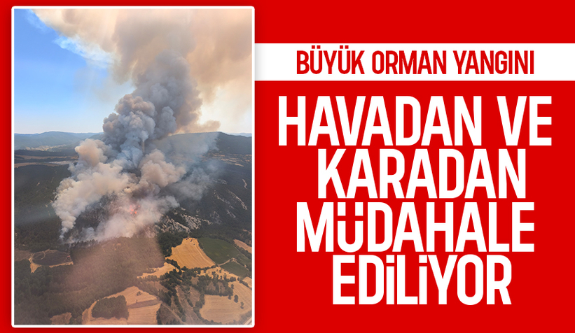 Mudurnu'da büyük orman yangını