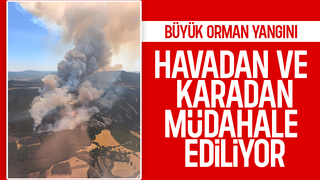 Mudurnu'da büyük orman yangını