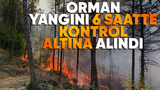 Mudurnu'da orman yangını