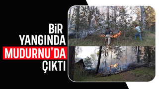 Mudurnu'da orman yangını