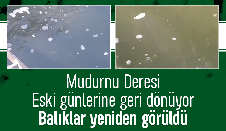 Mudurnu'da özlenen görüntü geri geldi