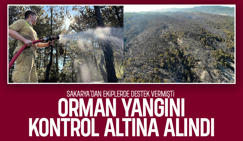 Mudurnu'daki orman yangını kontrol altına alındı