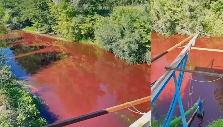 Mudurnu Deresi'ndeki kirlilik 40 kat fazla çıktı!