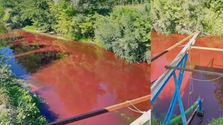 Mudurnu Deresi'ndeki kirlilik 40 kat fazla çıktı!