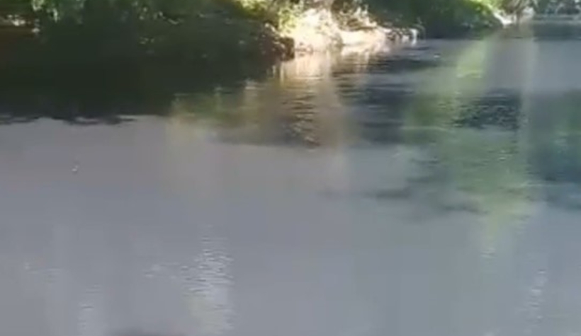 Mudurnu Deresi'nin rengi siyaha döndü