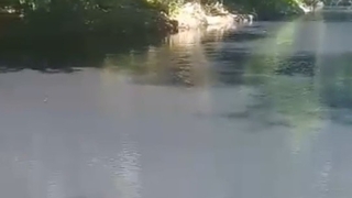 Mudurnu Deresi'nin rengi siyaha döndü