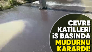 Mudurnu Deresi'nin rengi siyaha döndü