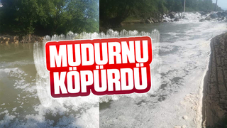 Mudurnu köpürdü