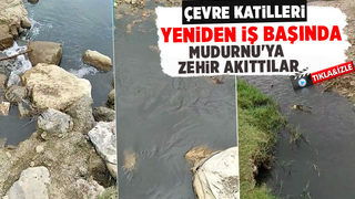 Mudurnu'ya akan derenin rengi siyaha döndü