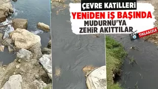 Mudurnu'ya akan derenin rengi siyaha döndü
